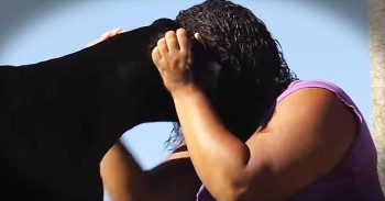 Great Dane Saves His Human From Abusive Boyfriend