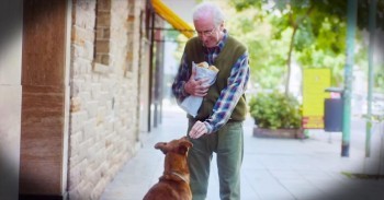 Loyal Dog Brings The Tears As He Waits Outside Hospital For Owner