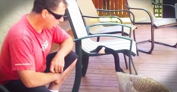 Funny Man ‘Talks’ To Goose