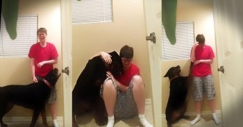 Loyal Service Dog Calms A Woman During Asperger Syndrome ‘Meltdown’
