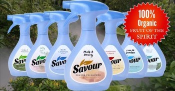 Crosswalk.com: You've heard of Air Freshener... but Have You Tried PRAYER Freshener?