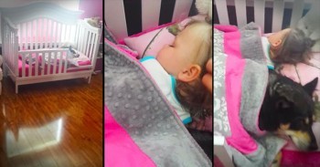 Mother Finds Dog And Baby Sleeping In The Crib Together