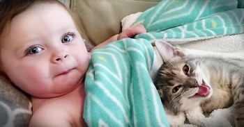 Baby And Kitten Wake Up From The CUTEST Nap