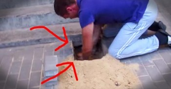 Rescuers Discover Dog Trapped Underneath Bricks