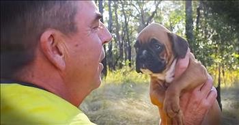 Firefighter’s Relationship With Abandoned Dog Will Leave You In TEARS!