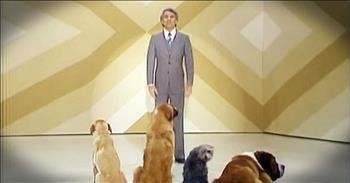 Steve Martin's Comedy Routine For Dogs Is Hilarious...For Humans!