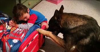 German Shepherd And Tiny Human Pray Before Bed