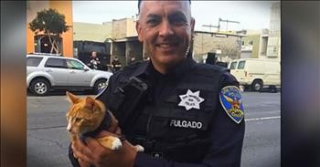 Cat Saves Owner From Ending Their Life