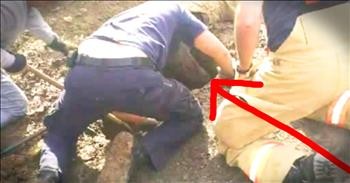Dog Rescued After 3 Days In Sinkhole Will Break Your Heart