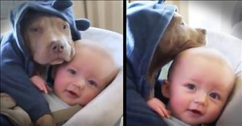 Baby And Puppy Cuddle Session Is The Cutest!