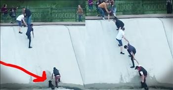 Strangers Form Human Chain To Rescue Stuck Dog