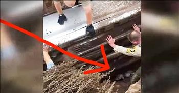 Dog Trapped Underneath Crashed Car Gets Amazing Rescue