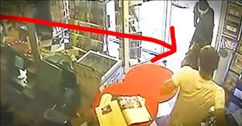 Loyal Dog Saves Owner From Robber