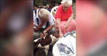 Granddaughter Surprises Grandpa With A Dog After He Loses His Beloved Friend