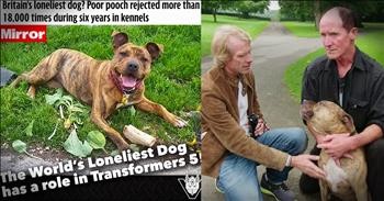 The Loneliest Dog In Britain Gets A Home And Starring Movie Role