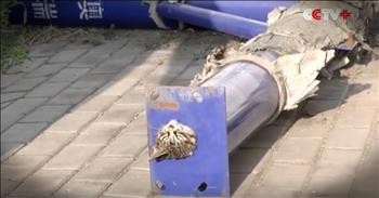 Firefighters Rescue Kitten Trapped In A Pipe