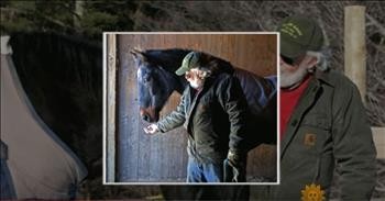 A Grumpy Old Horse Farmer And His Old Horse Save Each Other With Their Friendship