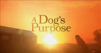 This Trailer For 'A Dog's Purpose' Will Have You Laughing and Crying