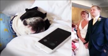 The Best Man Forgot The Wedding Rings So He Called...The Dog?