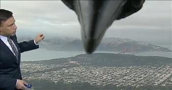 Bird Surprises Weatherman During Live TV Broadcast