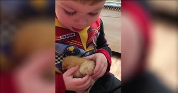 Toddler Sings Baby Chick To Sleep