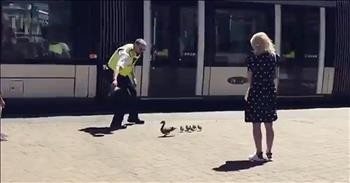 Friendly Cop Helps Mama And Ducklings Cross Busy Street
