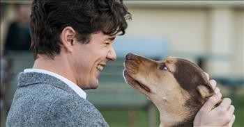 'A Dog's Way Home' New Family Film - Official Trailer