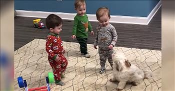 1-Year-Old Triplets Adorably Play With Their Puppy