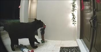 Bear Caught On Video Ringing Doorbell