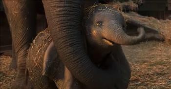 Behind the Scenes of the New 'Dumbo' Movie