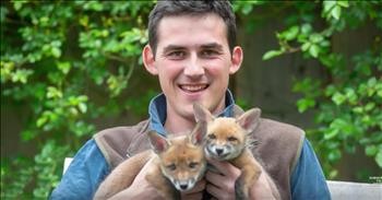 Farmer Performs Emergency C-Section To Save Baby Foxes