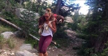 Woman Carries 55 Pound Dog For 6 Hours To Save His Life
