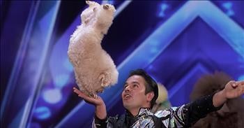 Family Dog Act Combines Tricks With Smiles For America's Got Talent Audition