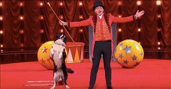 Lukas And Falco Perform Talented Dog Act To The Greatest Showman