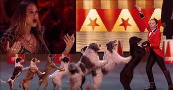 11-Year-Old Alexa Earns Golden Buzzer With Dancing Dogs Act