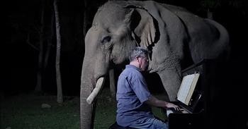 Pianist Performs Beethoven For 61-Year-Old Rescue Elephant
