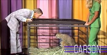 Cheetah Frightens Johnny Carson Right Into The Arms Of Ed McMahon
