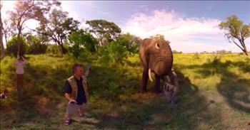 Funny Elephant Steals Tour Guide's Hat