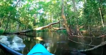 Kayaker Escapes Close Call With Charging Alligator