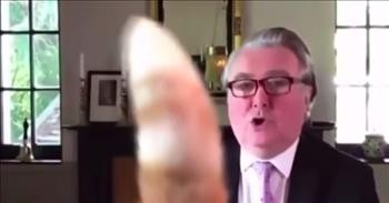 Cat Hilariously Interrupts Virtual Parliament Meeting