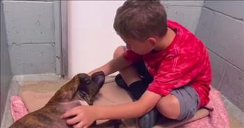 Adopted Boy Sets Out to Save Old Homeless Dogs That Nobody Wants