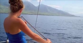 Whales Gather Around Boat When Woman Plays The Violin