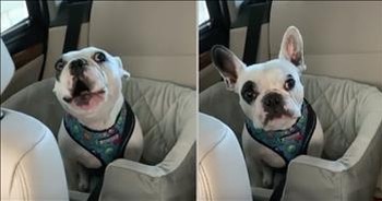 Determined Doggy 'Argues' With Owner After His Park Is Closed For the Day