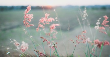 A Prayer to Be Patient with Your Progress - Your Daily Prayer - September 14