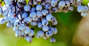 A Prayer of Gratitude for the Gift of Seasons - Your Daily Prayer - September 24