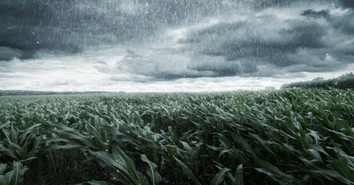 A Prayer for the One Who Is Afraid of God’s Glory and Power - Your Daily Prayer - June 11