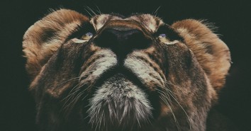 Choosing Fatih Over Fear - Your Nightly Prayer - January 12th