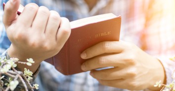 A Prayer for Renewed Excitement to Study the Word - Your Daily Prayer - October 6