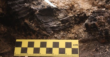 2,600-Year-Old Charred Beams from Solomon's Temple Era Unearthed in Jerusalem