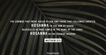 Matthew 21:9